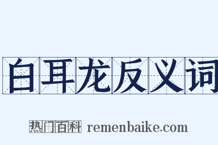 白耳龙反义词是什么意思的图片